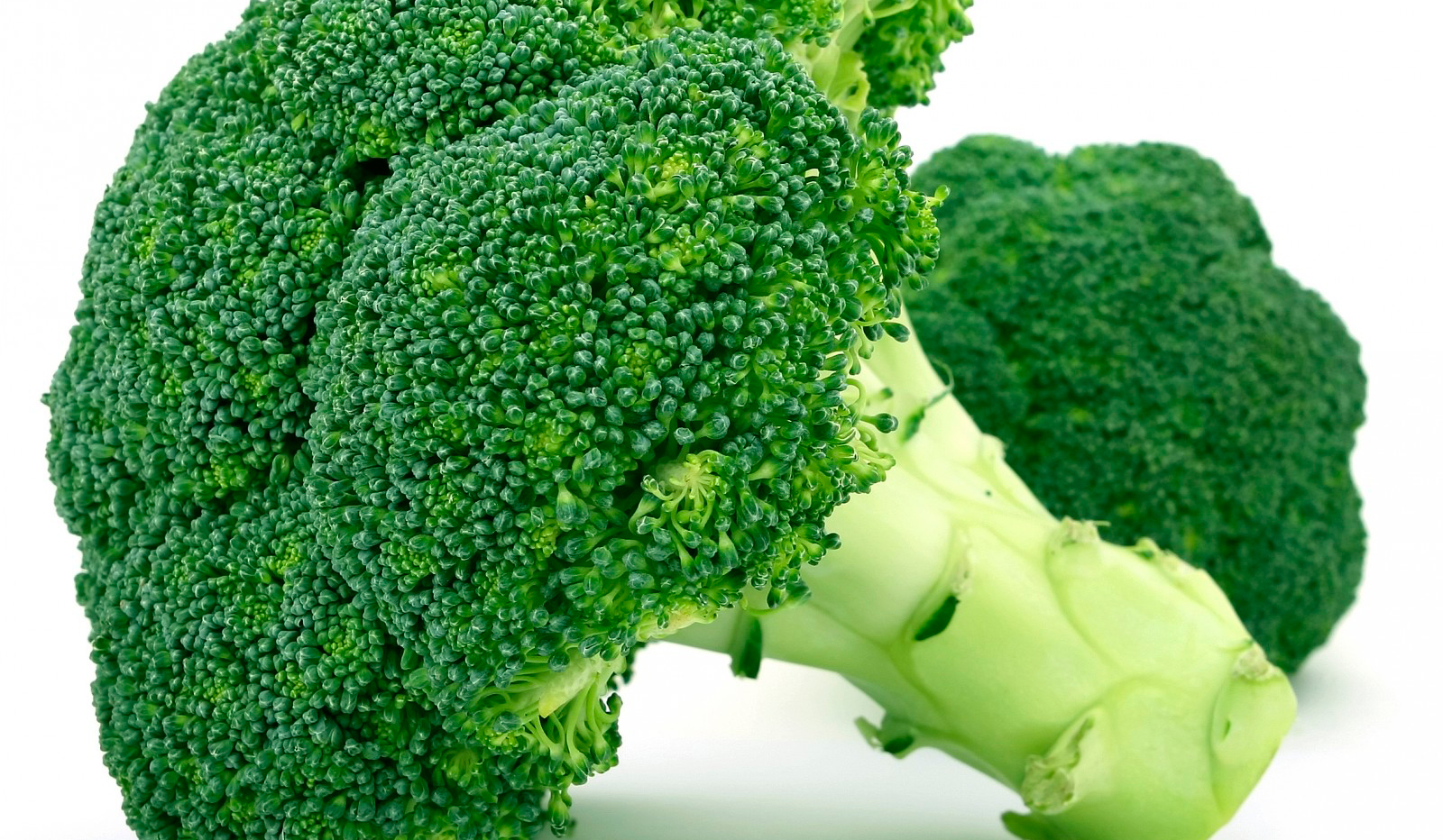 Brócolis ou couve-flor: qual possui mais nutrientes? - Nutritotal